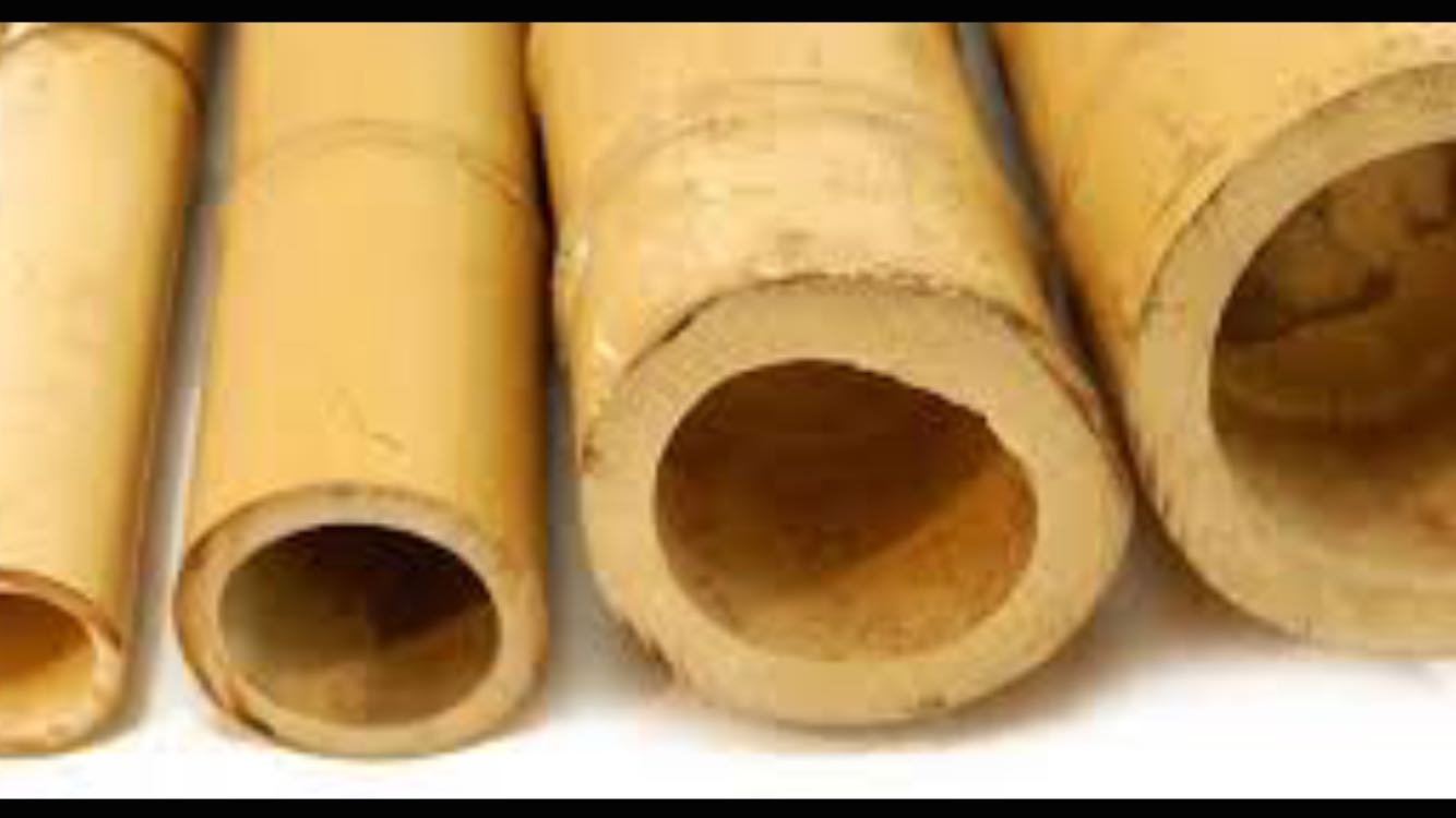 CANNE DI BAMBOO